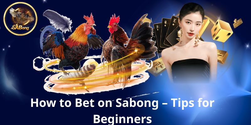 SABONG Cockfighting – The Ultimate Guide to the Philippines’ Fiercest Tradition 6 How to Bet on Sabong – Tips for Beginners