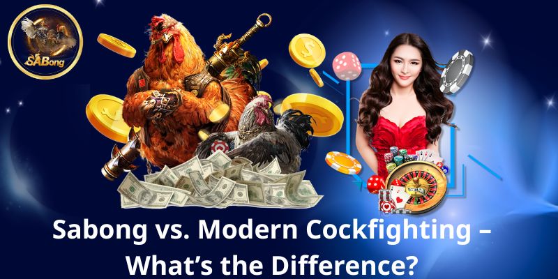 SABONG Cockfighting – The Ultimate Guide to the Philippines’ Fiercest Tradition 3 Sabong vs. Modern Cockfighting – What’s the Difference?