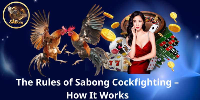 SABONG Cockfighting – The Ultimate Guide to the Philippines’ Fiercest Tradition 2 The Rules of Sabong Cockfighting – How It Works